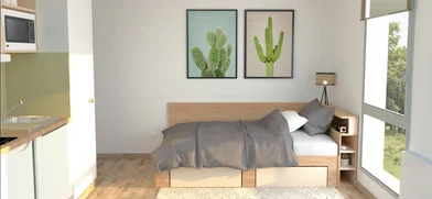 Stanza privata in residence in Saint-Étienne, 42100, immagine 11 di 12