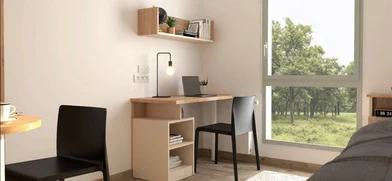 Stanza privata in residence in Saint-Étienne, 42100, immagine 3 di 12