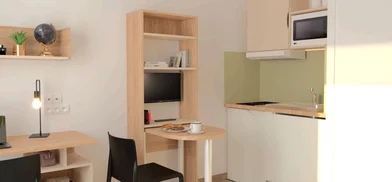 Stanza privata in residence in Saint-Étienne, 42100, immagine 9 di 12