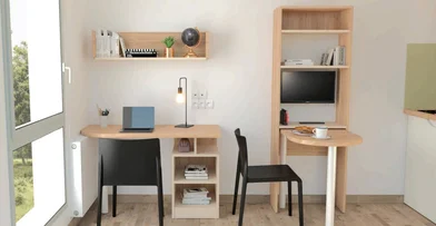 Stanza privata in residence in Saint-Étienne, 42100, immagine 10 di 12