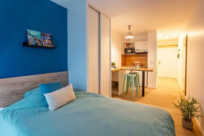 私人房间 在住宅内 在 Chambéry, 73065, 9的图像9