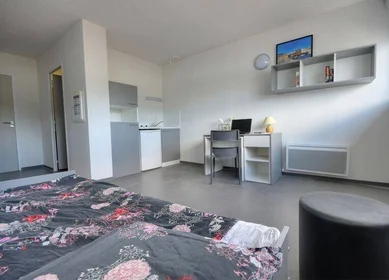 Prywatny pokój w rezydencji Montpellier, 34000, obraz 1 4
