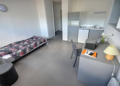 Prywatny pokój w rezydencji Montpellier, 34000, obraz 2 4