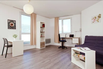 Prywatny pokój w rezydencji Grenoble, 38000, obraz 1 16