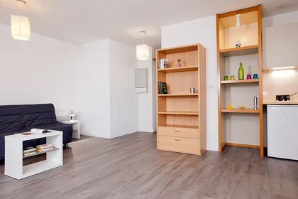 Prywatny pokój w rezydencji Grenoble, 38000, obraz 2 16