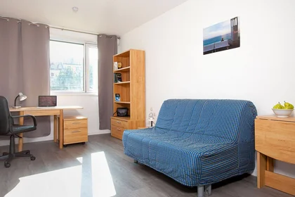 Prywatny pokój w rezydencji Grenoble, 38000, obraz 13 16