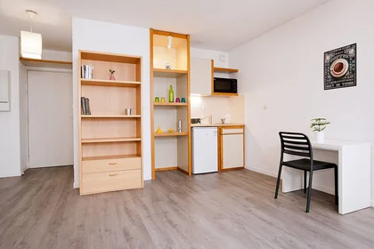 Prywatny pokój w rezydencji Grenoble, 38000, obraz 3 16