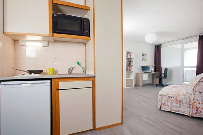 Prywatny pokój w rezydencji Grenoble, 38000, obraz 6 16