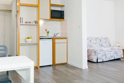Prywatny pokój w rezydencji Grenoble, 38000, obraz 9 16