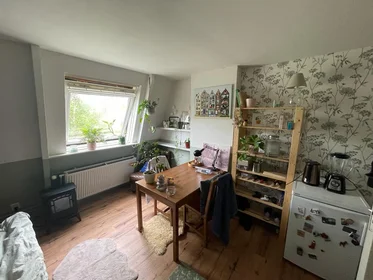 Stanza privata in Helper Westsingel, immagine 1 di 8