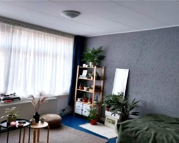 Private room at Mijnsherenlaan, image 1 of 9
