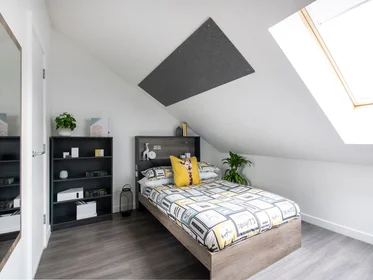 Private room in residence at 217 Newmarket Rd, Cambridge CB5 8AY, United Kingdom            , image 12 of 13