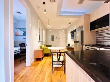 Entire place in residence at 448 Empire boulevard,  2F, Crown Heights, New York, NY, 11225, image 6 of 8