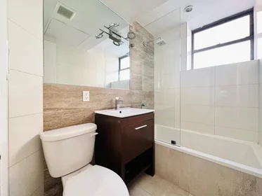 Entire place in residence at 448 Empire boulevard,  2F, Crown Heights, New York, NY, 11225, image 8 of 8