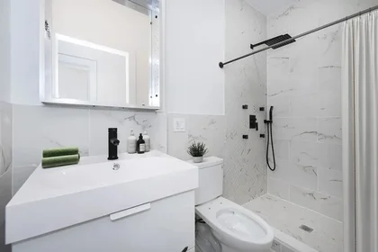 Entire place in residence at 1223 Bedford Avenue,  3, Bedford-Stuyvesant, Brooklyn, NY, 11216, image 12 of 17