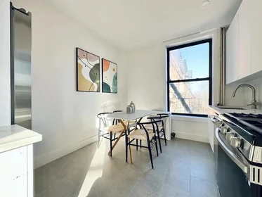 Entire place in residence at 1223 Bedford Avenue,  3, Bedford-Stuyvesant, Brooklyn, NY, 11216, image 13 of 17