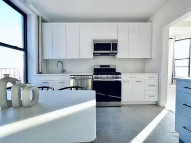 Entire place in residence at 1223 Bedford Avenue,  3, Bedford-Stuyvesant, Brooklyn, NY, 11216, image 15 of 17