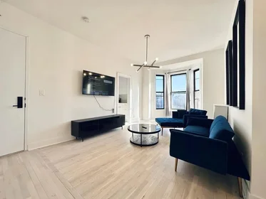 Entire place in residence at 1223 Bedford Avenue,  3, Bedford-Stuyvesant, Brooklyn, NY, 11216, image 9 of 17