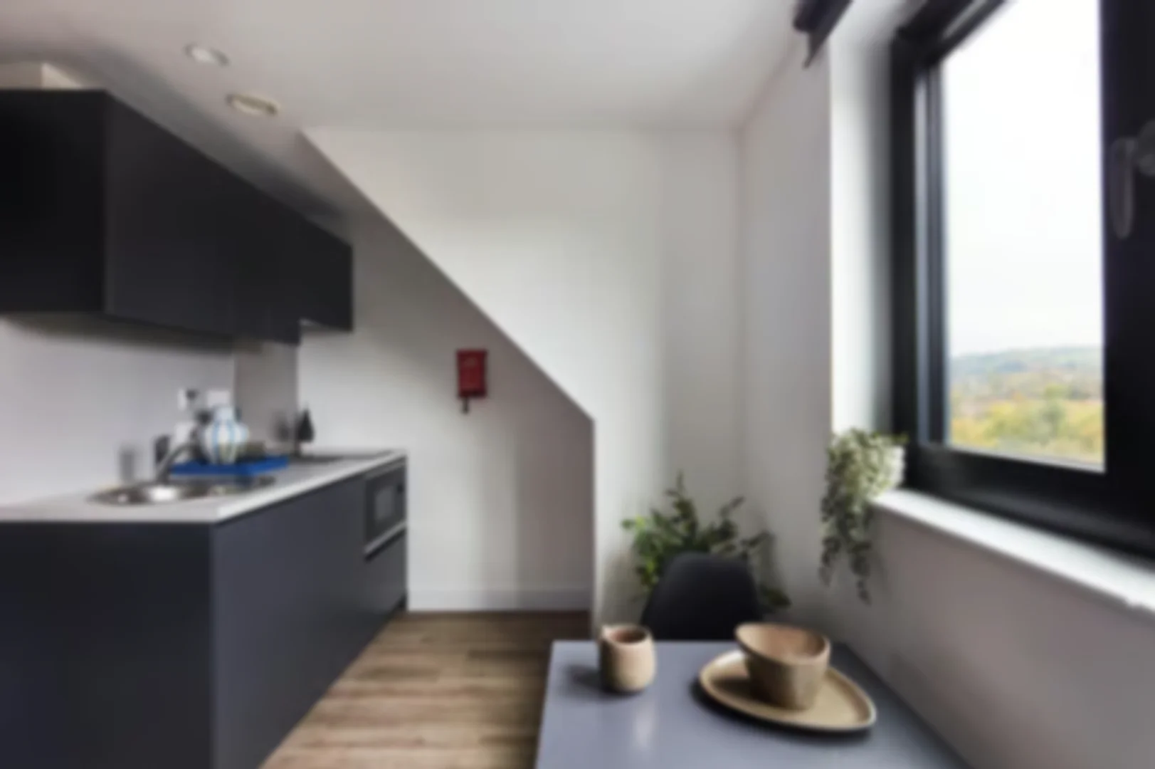 Compact studio apartment ideal for students in 