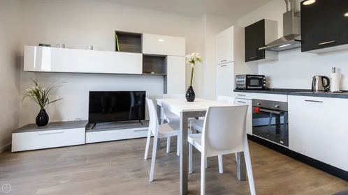 Chambre privée à Viale Vat, image 12 de 20
