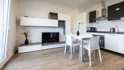 Chambre privée à Viale Vat, image 17 de 20