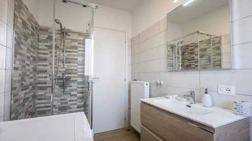 Chambre privée à Viale Vat, image 19 de 20