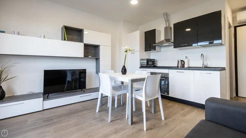 Chambre privée à Viale Vat, image 3 de 20