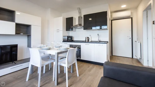 Chambre privée à Viale Vat, image 9 de 20