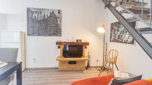 Private room at Via Francesco Muralto, image 1 of 10