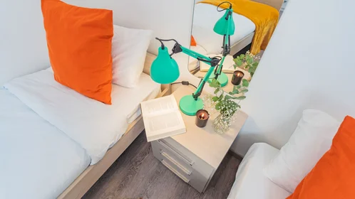 Quarto privado em Via Francesco Muralto, imagem 48 de 49