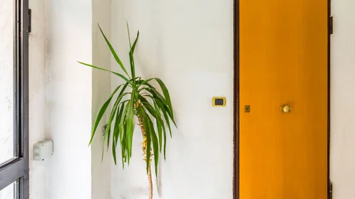 Apartamento inteiro em Vico San Nicola da Tolentino, imagem 15 de 24