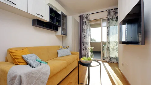 Całe miejsce Viale Giorgio Cingoli, obraz 4 35