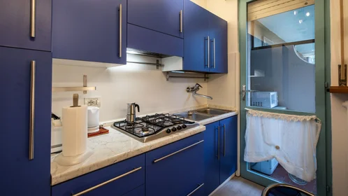 Chambre privée à Viale Leonardo Da Vinci, image 28 de 49