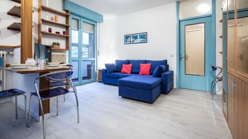 Chambre privée à Viale Leonardo Da Vinci, image 4 de 49