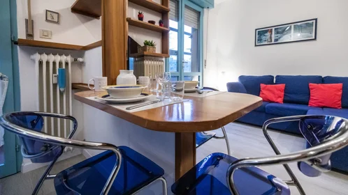 Chambre privée à Viale Leonardo Da Vinci, image 6 de 49