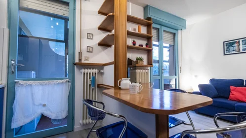 Chambre privée à Viale Leonardo Da Vinci, image 8 de 49