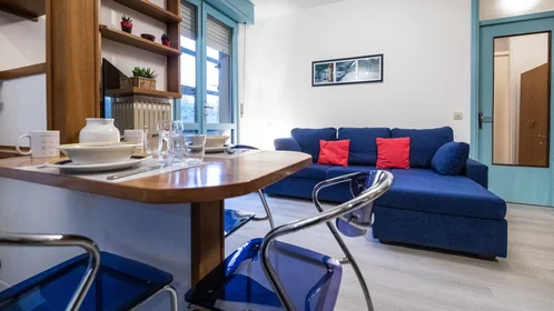 Chambre privée à Viale Leonardo Da Vinci, image 9 de 49