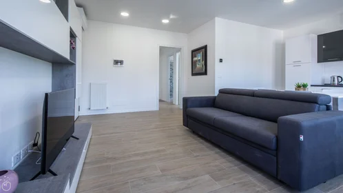 Chambre privée à Viale Vat, image 1 de 32