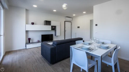 Chambre privée à Viale Vat, image 13 de 32