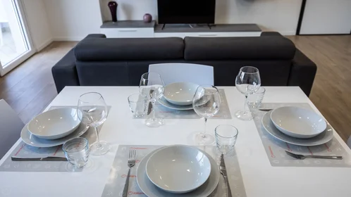 Chambre privée à Viale Vat, image 15 de 32