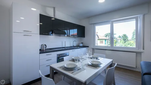 Chambre privée à Viale Vat, image 19 de 32