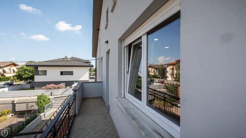 Chambre privée à Viale Vat, image 22 de 32