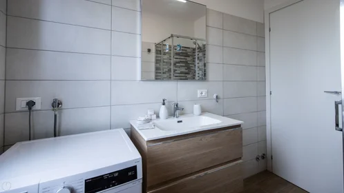 Chambre privée à Viale Vat, image 30 de 32