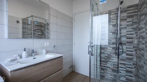 Chambre privée à Viale Vat, image 31 de 32