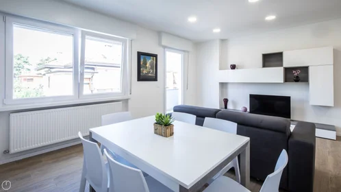 Chambre privée à Viale Vat, image 7 de 32