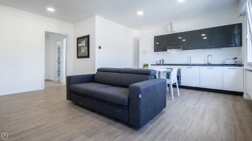 Chambre privée à Viale Vat, image 8 de 32
