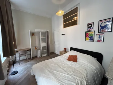 Prywatny pokój 40 Rue Burdeau, obraz 1 10