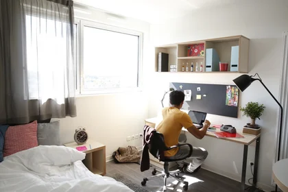 Stanza privata in residence in Toulouse, 31400, immagine 23 di 28