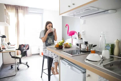 Stanza privata in residence in Toulouse, 31400, immagine 7 di 28