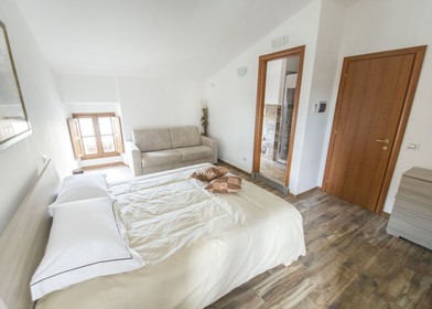 Helles Privatzimmer in Viterbo